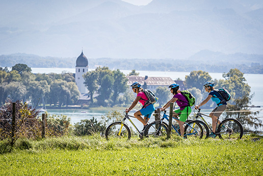 Drei Radfahrer auf einem Weg vor Alpenkulisse.