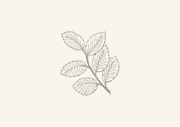 gezeichnetes Herbstblatt